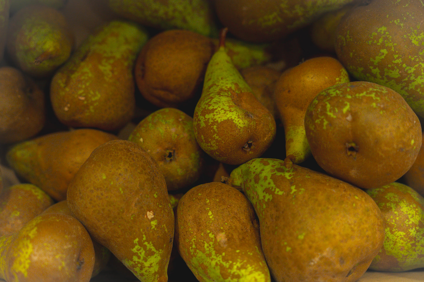 Pera conferencia Eco de nuestro valle