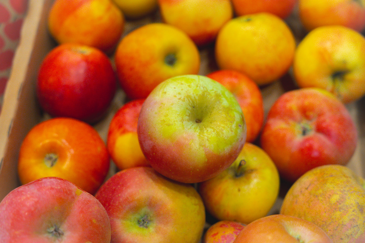 Manzana Fuji Eco Boltaña