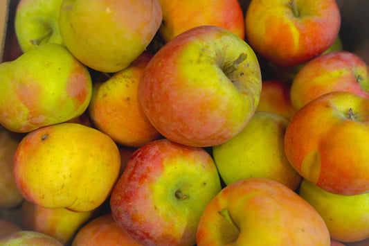 Manzana Gala Eco